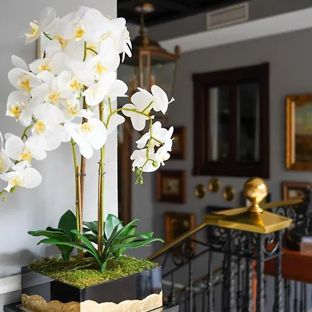 Boutique Casa Veracruz 4* エステポナ