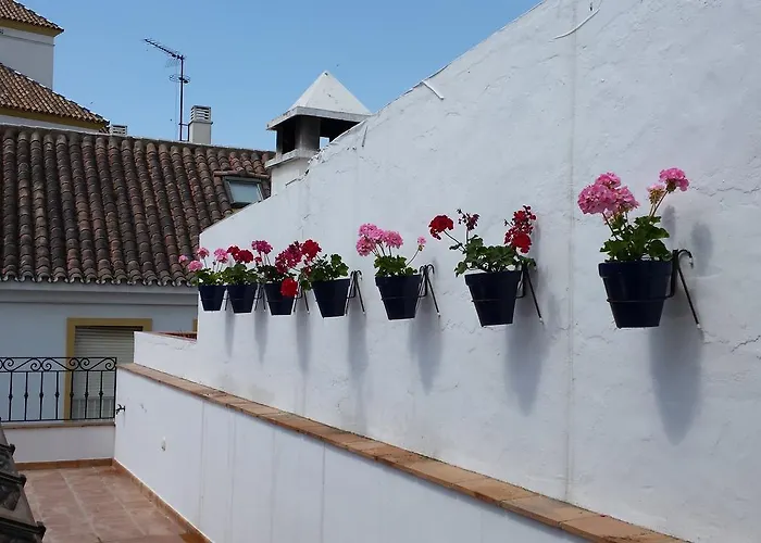 Boutique Casa Veracruz 호텔